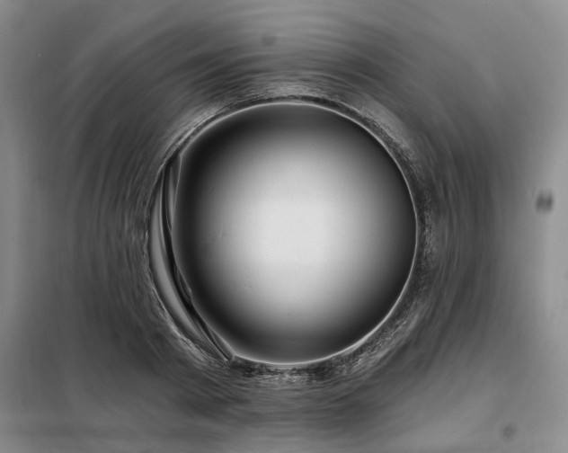 X0000098150793200804171612