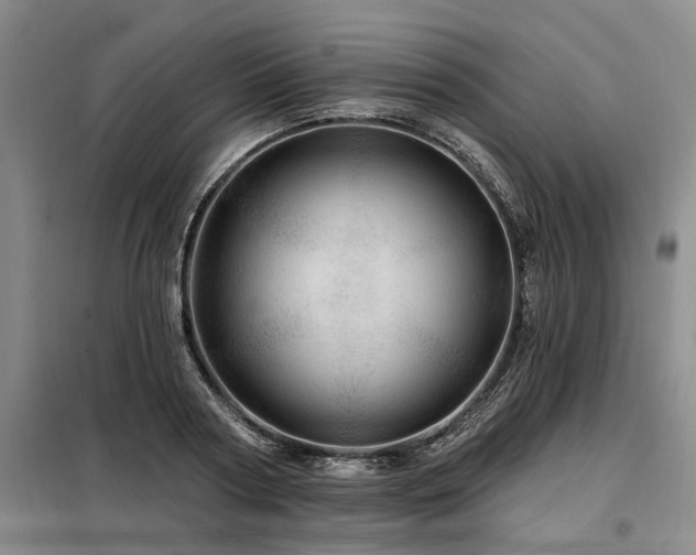 X0000098150794200804171611