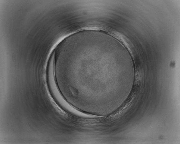 X0000098150795200804171611
