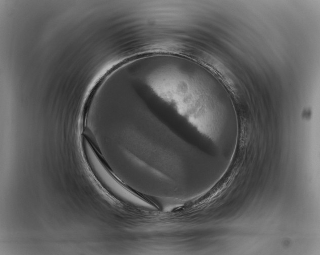 X0000098150796200804171611