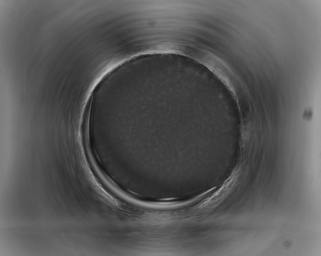 X0000098150797200804171611