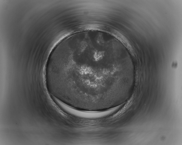 X0000098150798200804171611
