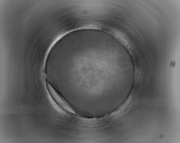 X0000098150800200804171611
