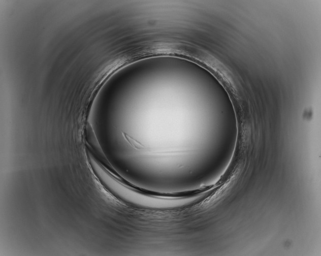 X0000098150801200804171611