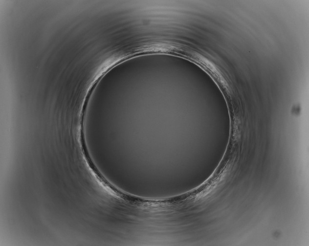 X0000098150802200804171611