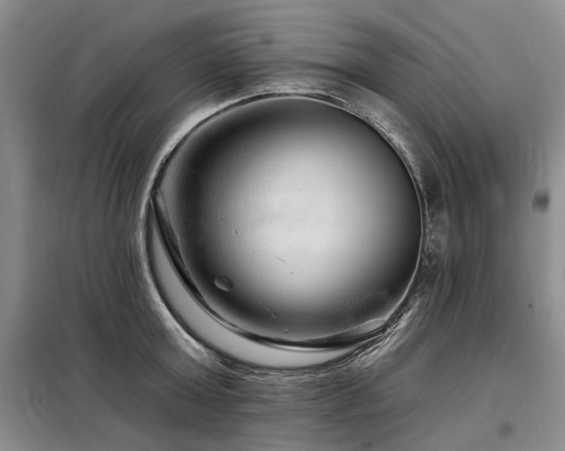 X0000098150803200804171611