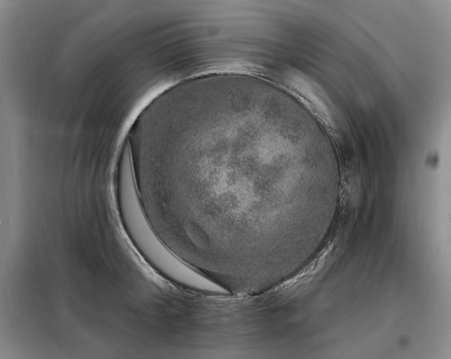 X0000098150804200804171611