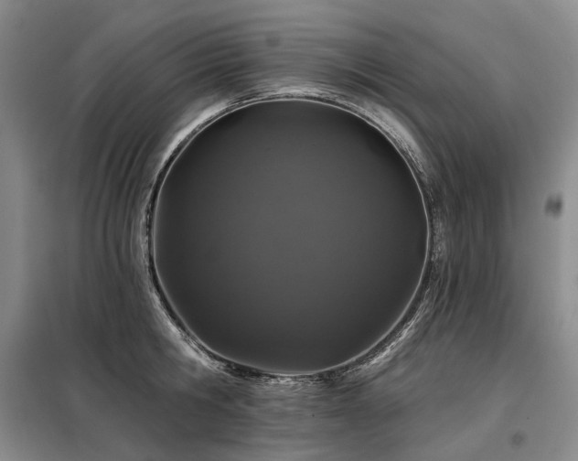 X0000098150806200804171611