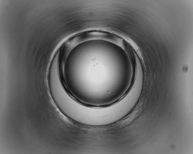 X0000098150807200804171611