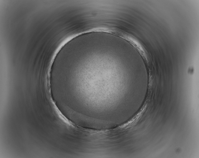 X0000098150808200804171611