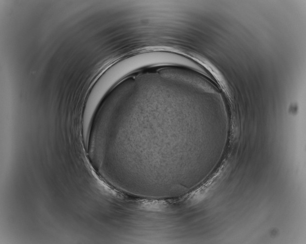 X0000098150809200804171611