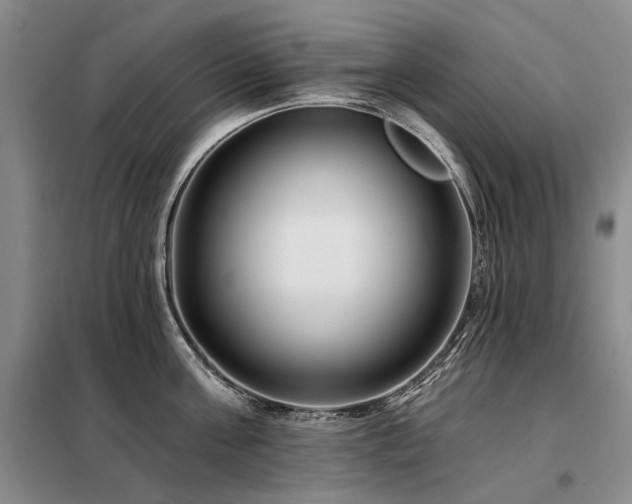 X0000098150811200804171611