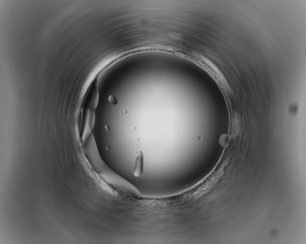 X0000098150812200804171611