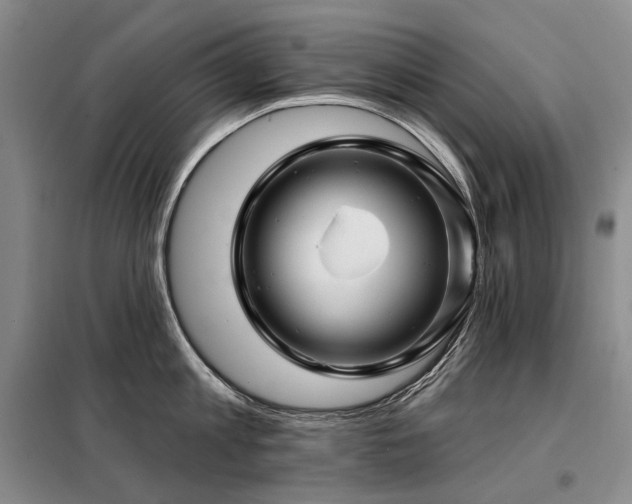 X0000098150813200804171611
