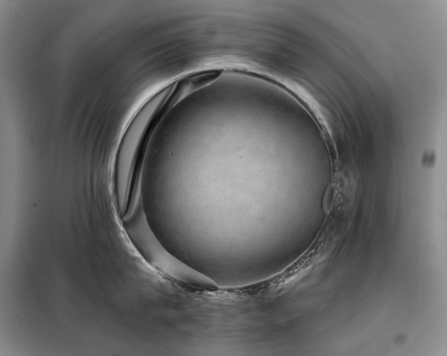 X0000098150815200804171611