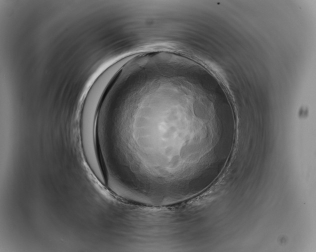 X0000098150816200804171611