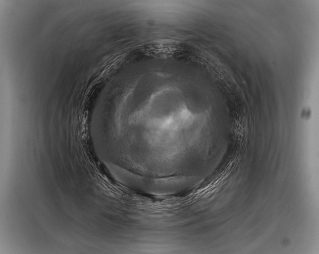 X0000098150818200804171611