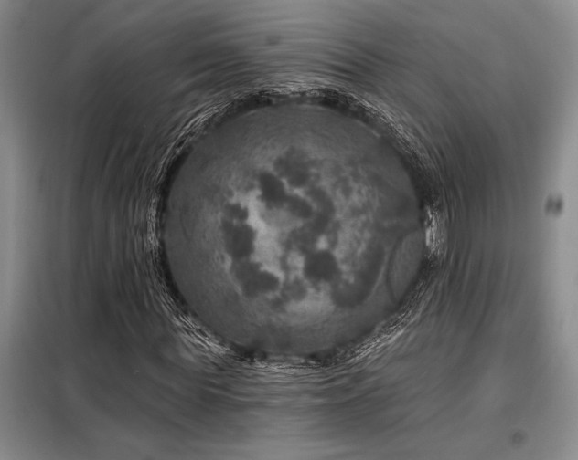 X0000098150819200804171611