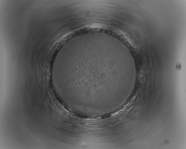 X0000098150821200804171611