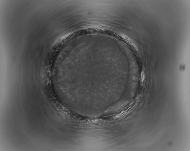 X0000098150822200804171611