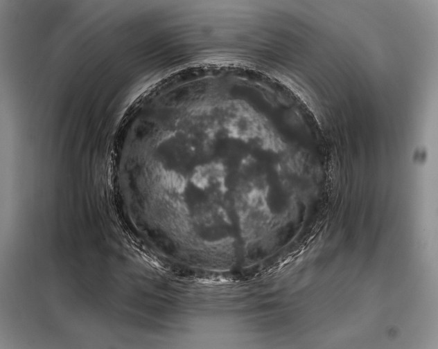 X0000098150823200804171611