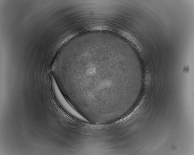 X0000098150825200804171611
