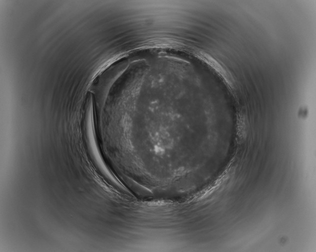 X0000098150826200804171611