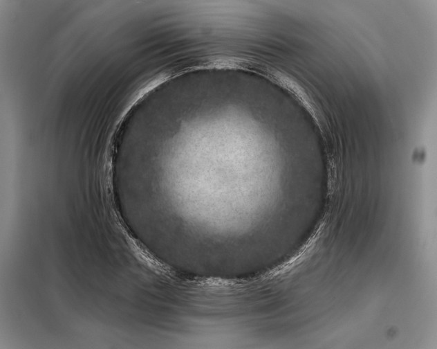 X0000098150827200804171611