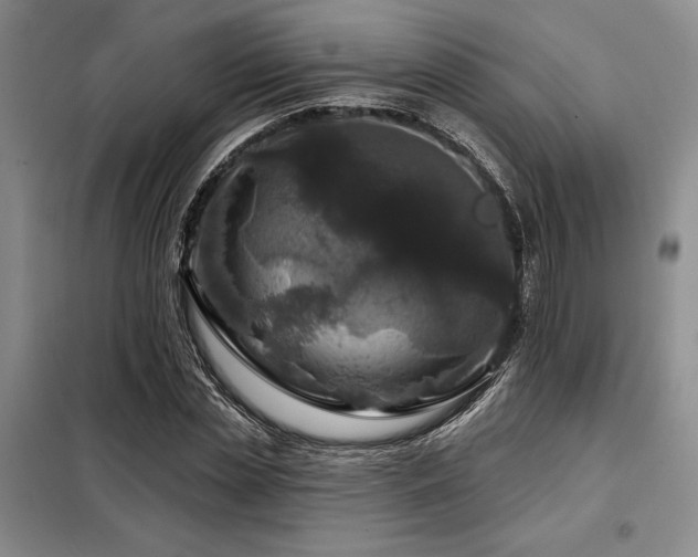 X0000098150829200804171611