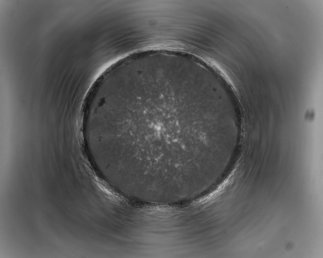 X0000098150830200804171611