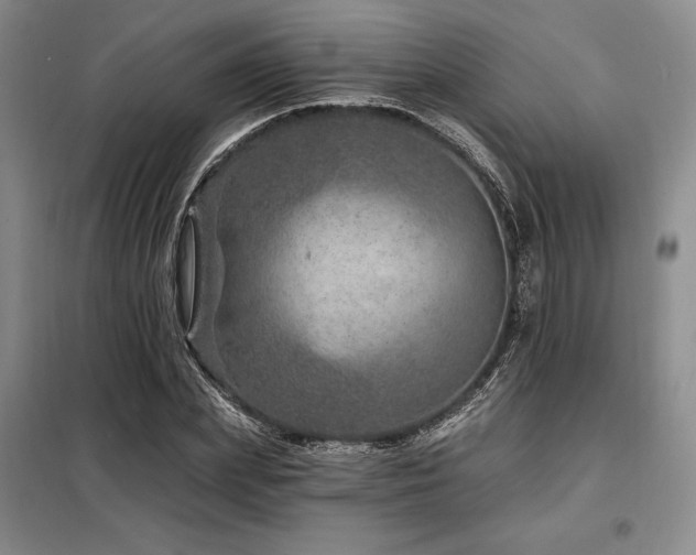 X0000098150831200804171611