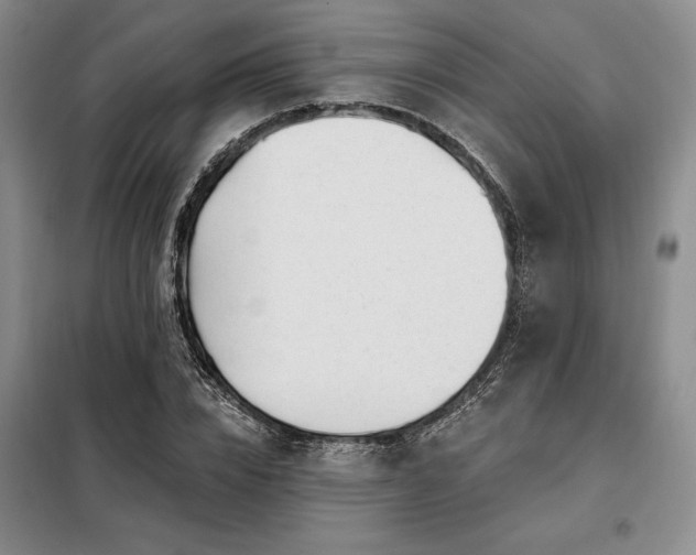 X0000098150832200804171611