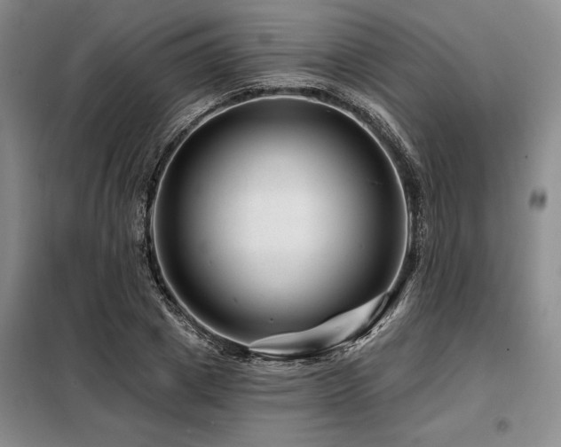 X0000098150833200804171611