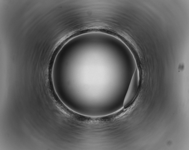 X0000098150834200804171611
