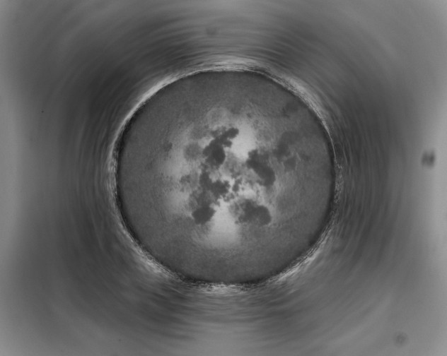 X0000098150835200804171611