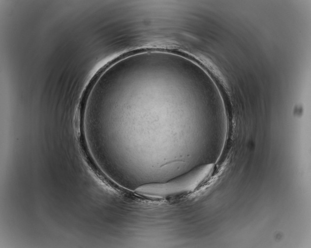 X0000098150838200804171611