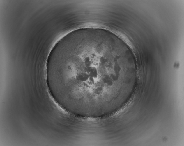 X0000098150839200804171611