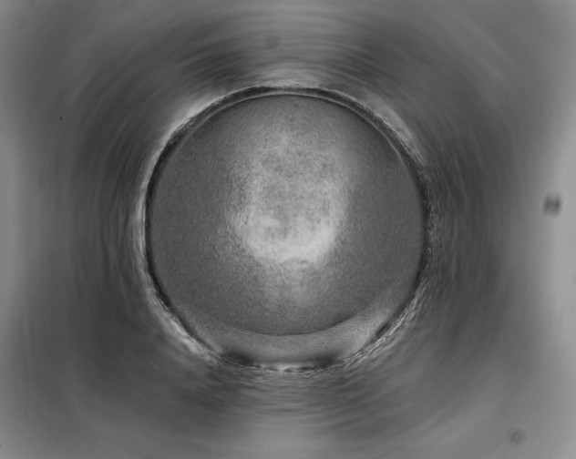 X0000098150840200804171611