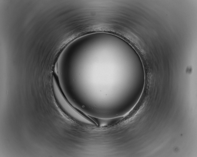 X0000098150841200804171611