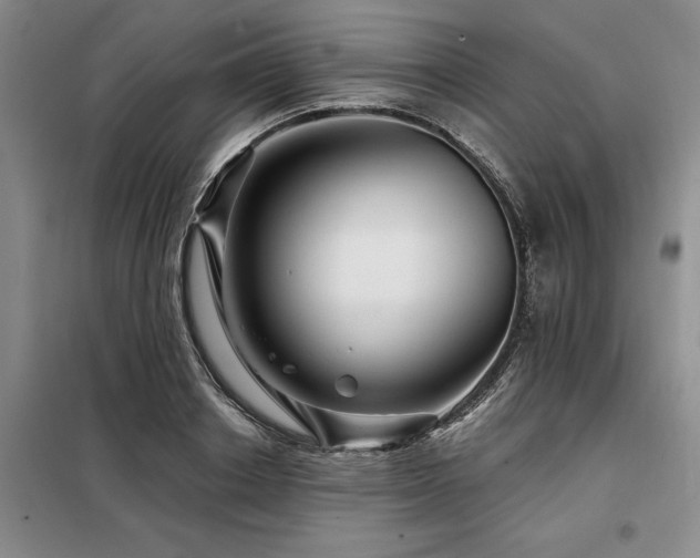 X0000098150842200804171611