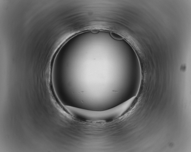 X0000098150844200804171611