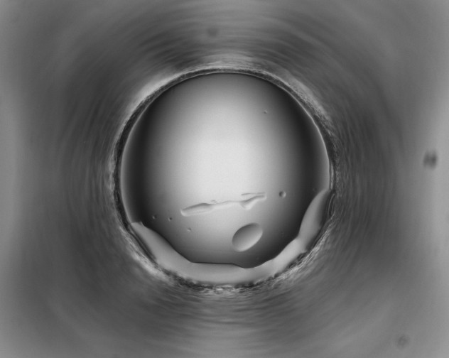 X0000098150846200804171611