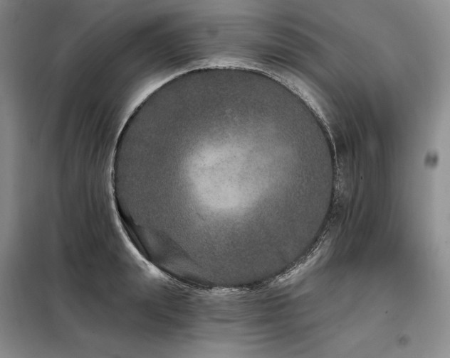 X0000098150847200804171611