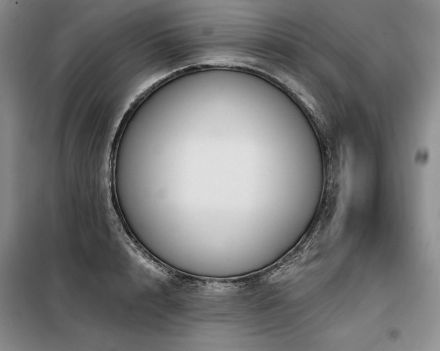 X0000098150848200804171611