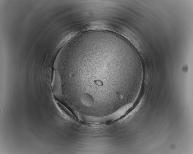 X0000098150849200804171611