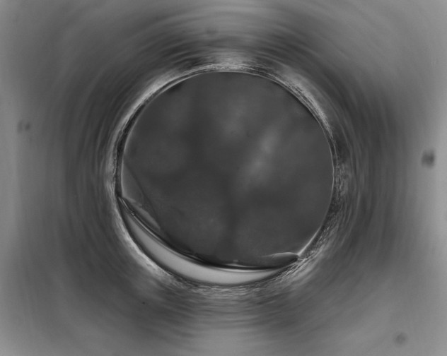 X0000098150851200804171611