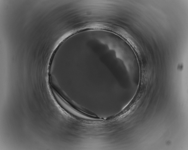 X0000098150853200804171611
