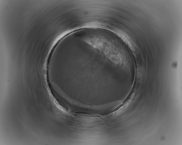 X0000098150854200804171611