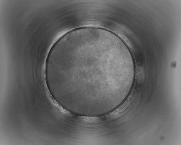 X0000098150856200804171611