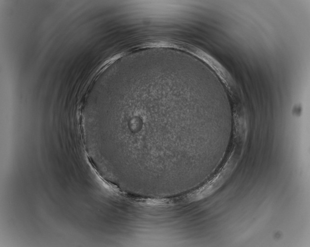 X0000098150857200804171611